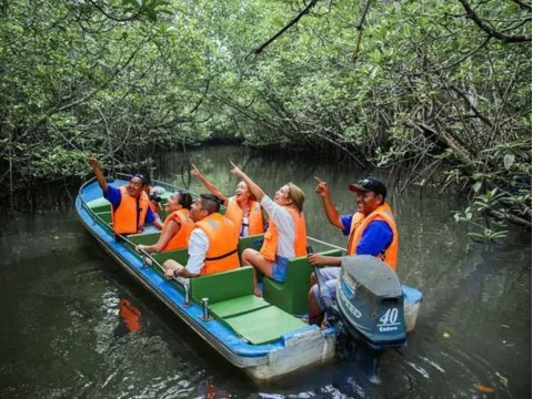 hutan mangrove bintan